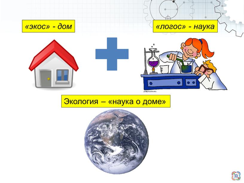 Экология – «наука о доме» «логос» - наука