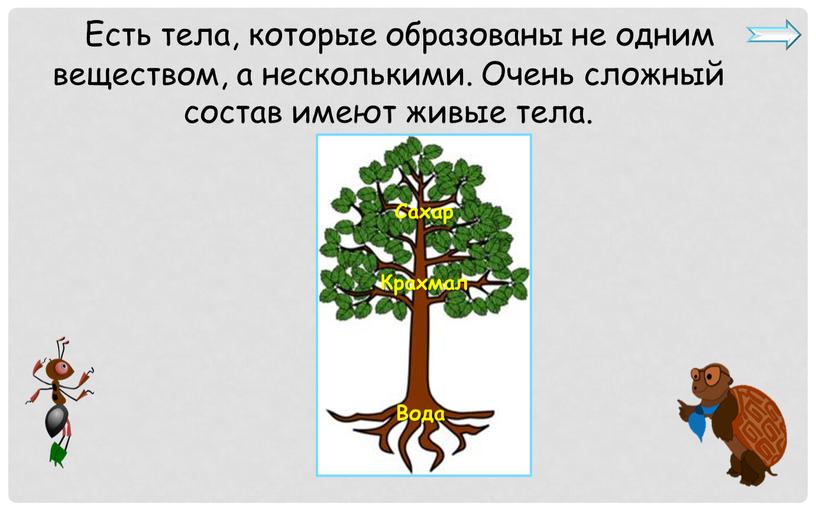 Есть тела, которые образованы не одним веществом, а несколькими