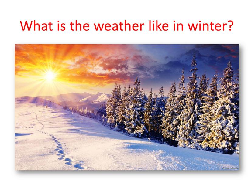 What is the weather like in winter?