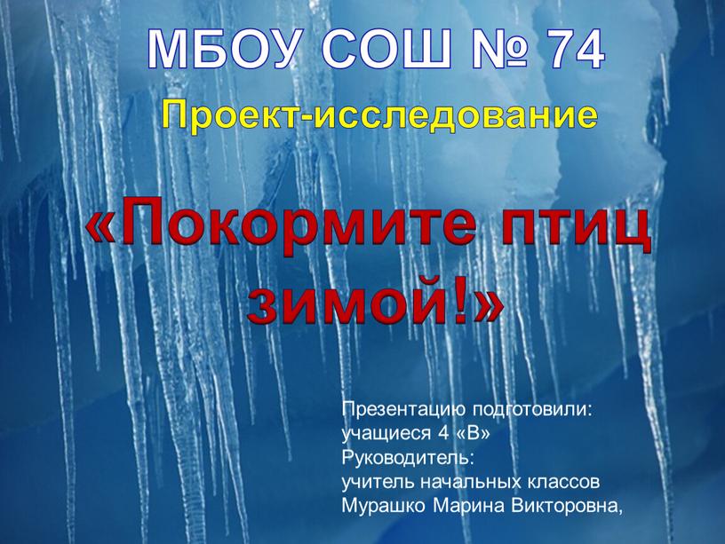 МБОУ СОШ № 74 «Покормите птиц зимой!»