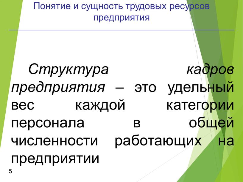 Понятие и сущность трудовых ресурсов предприятия 5