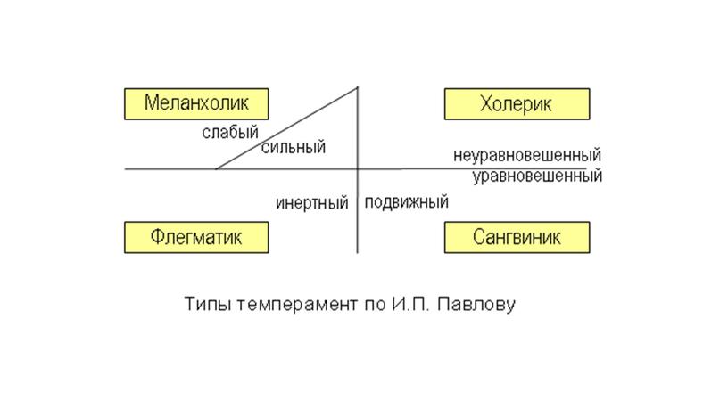 Высшая нервная деятельность