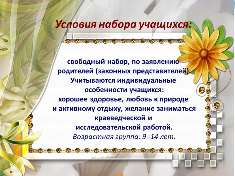 Условия набора учащихся: свободный набор, по заявлению родителей (законных представителей)