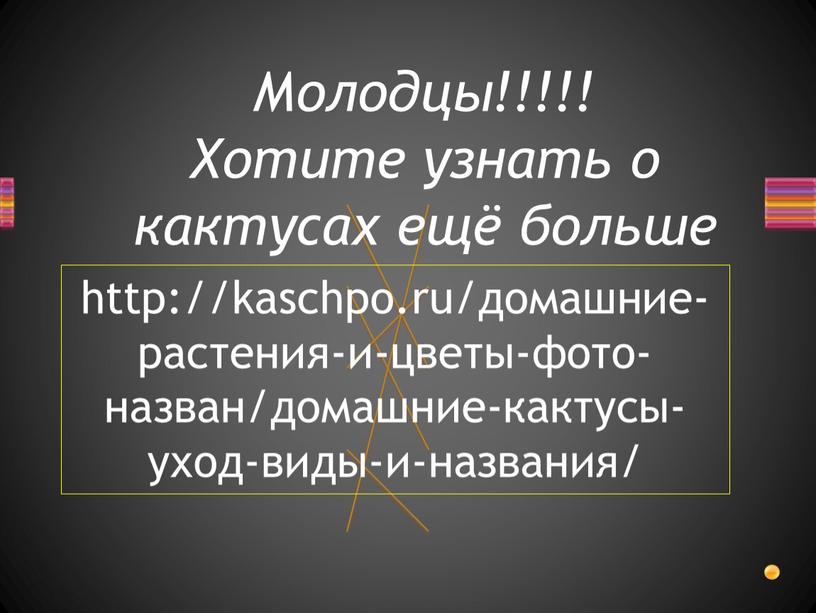 Молодцы!!!!! Хотите узнать о кактусах ещё больше http://kaschpo