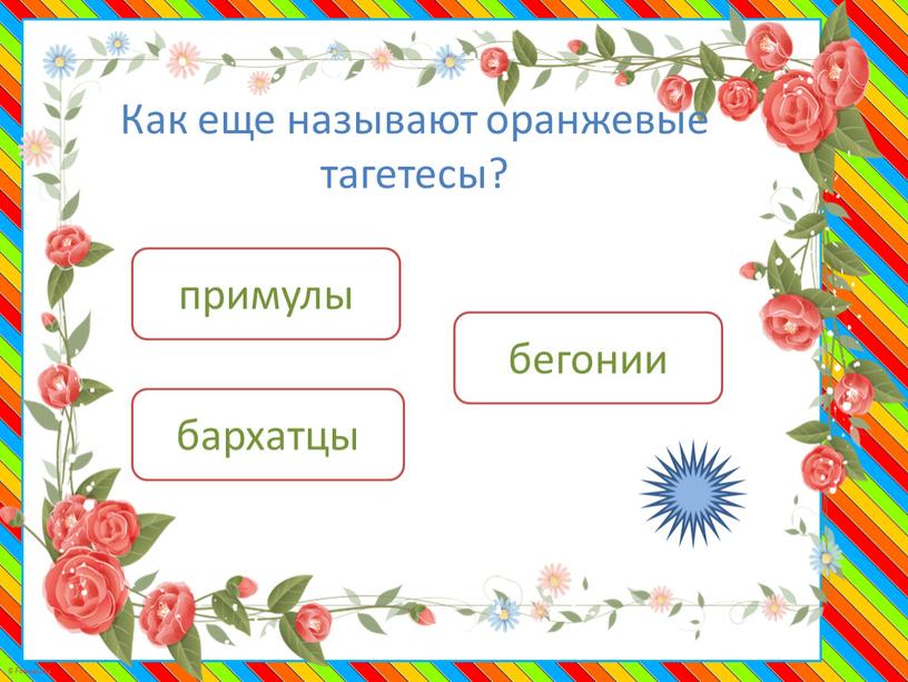 Как еще называют оранжевые тагетесы? бархатцы примулы бегонии