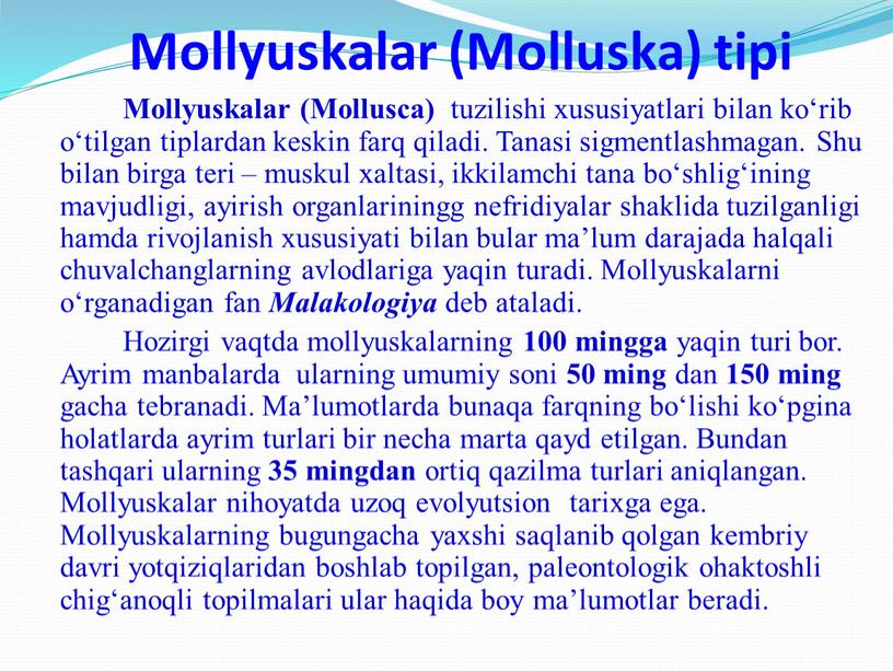 Mollyuskalar (Molluska) tipi