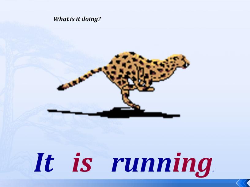 What is it doing? It is running