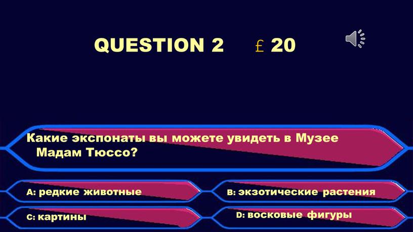 QUESTION 2 £ 20 Какие экспонаты вы можете увидеть в