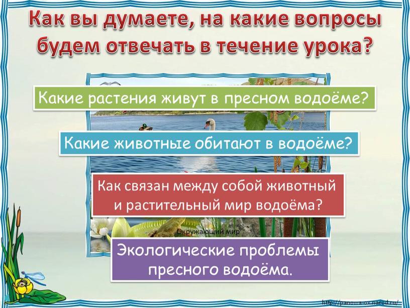 Как вы думаете, на какие вопросы будем отвечать в течение урока?