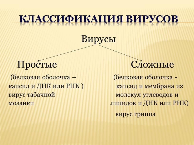 Классификация вирусов Вирусы