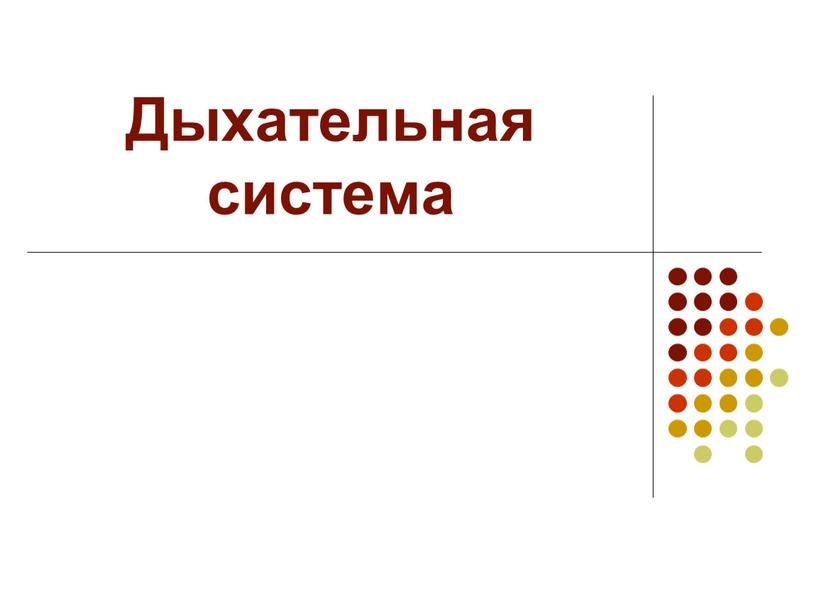 Дыхательная система