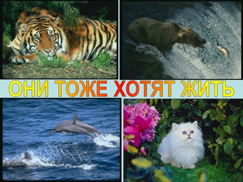 ОНИ ТОЖЕ ХОТЯТ ЖИТЬ