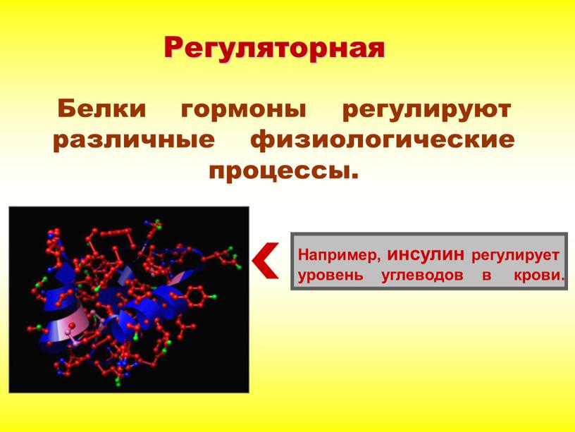 Регуляторная Белки гормоны регулируют различные физиологические процессы