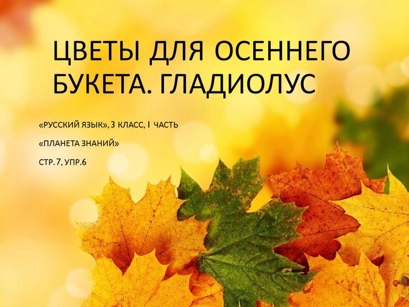 Цветы для осеннего букета. Гладиолус «Русский язык», 3 класс, 1 часть «Планета знаний»