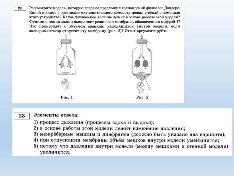 Разбор варианта №2 ЕГЭ биология-2022 из сборника В.С.Рохлова