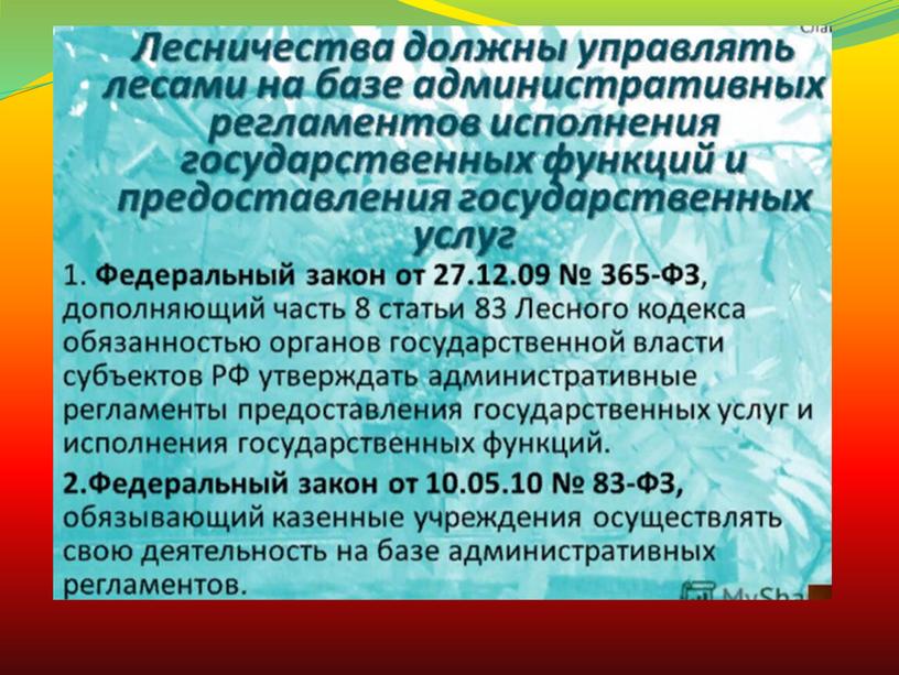 Организация государственного управления лесным хозяйством РФ.