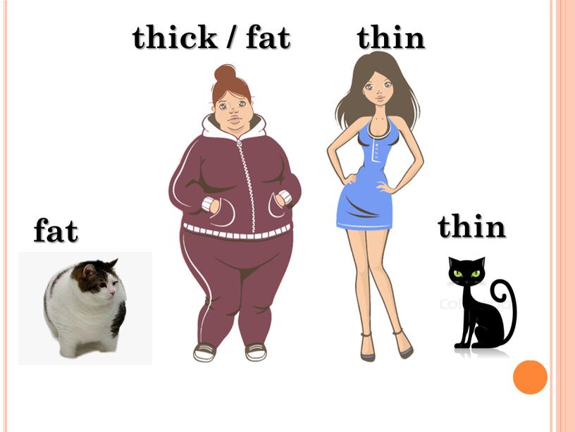 thick / fat thin fat thin