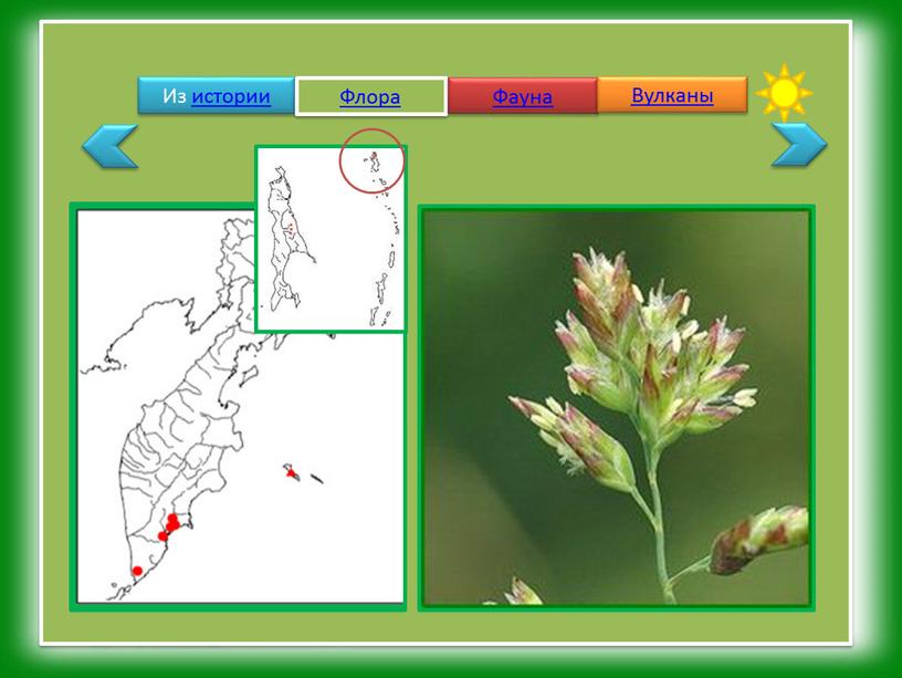 Из истории Флора Фауна Вулканы