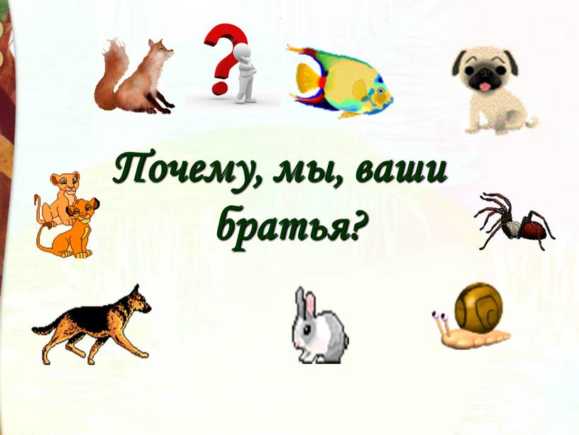 Почему, мы, ваши братья?