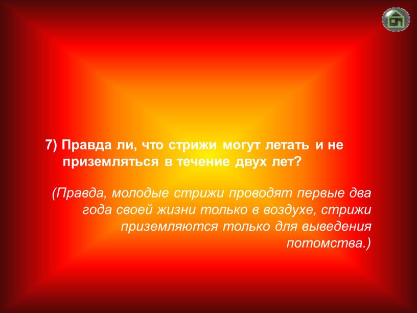 Правда, молодые стрижи проводят первые два года своей жизни только в воздухе, стрижи приземляются только для выведения потомства