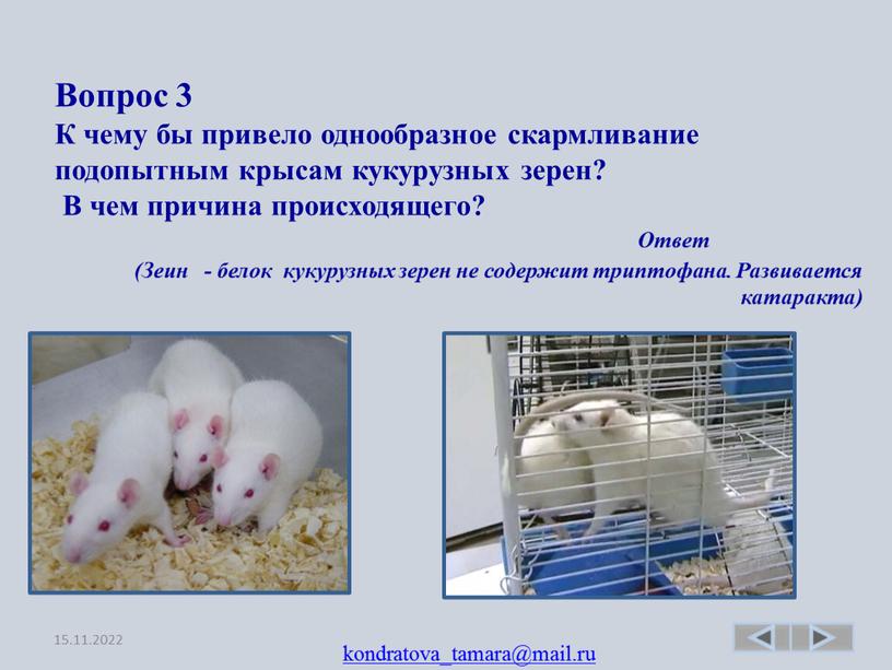 Вопрос 3 К чему бы привело однообразное скармливание подопытным крысам кукурузных зерен?
