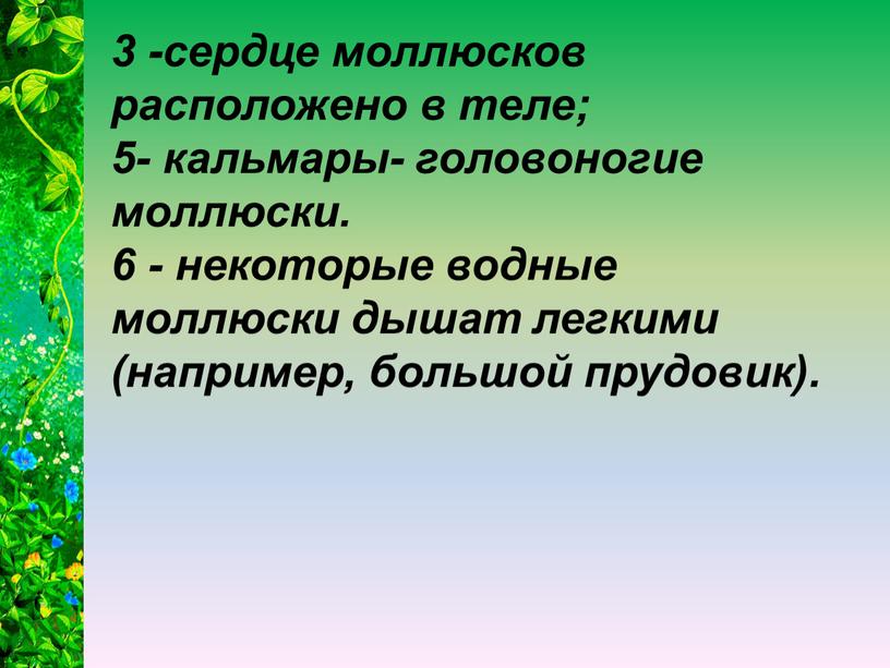 3 -сердце моллюсков расположено в теле; 5- кальмары- головоногие моллюски. 6 - некоторые водные моллюски дышат легкими (например, большой прудовик).