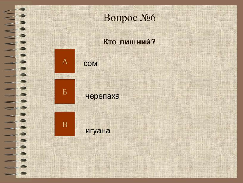 Вопрос №6 Кто лишний? сом черепаха игуана