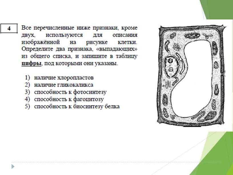 Разбор демо-версии ЕГЭ по биологии