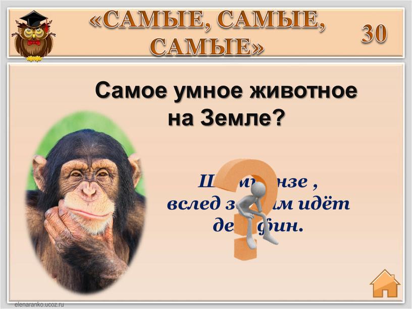 Сaмое умное животное на Земле? 30 «САМЫЕ,