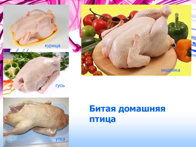 Битая домашняя птица курица гусь утка индейка