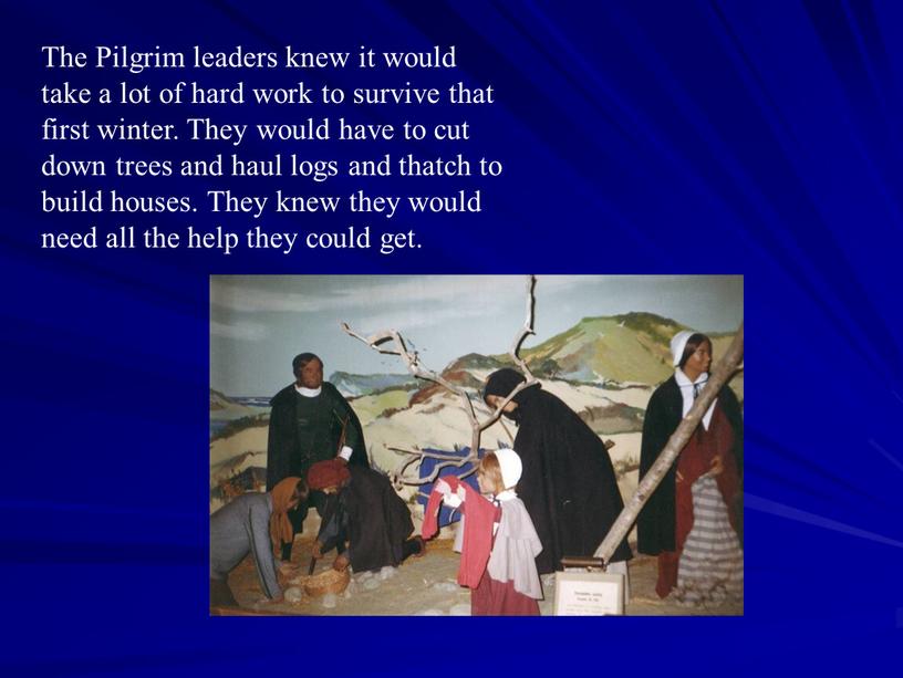 The Pilgrim leaders knew it would take a lot of hard work to survive that first winter