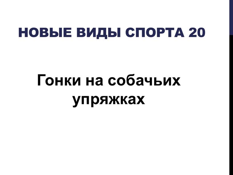 Новые виды спорта 20 Гонки на собачьих упряжках