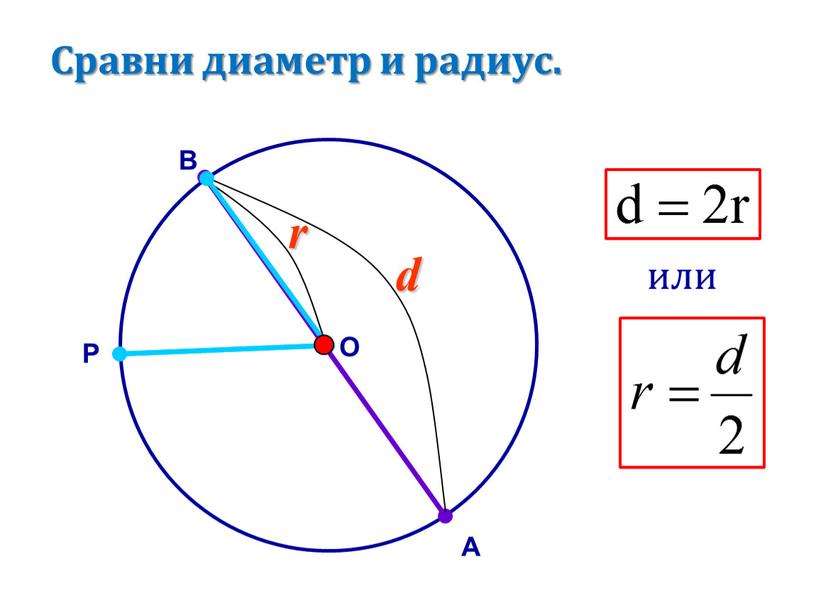 Сравни диаметр и радиус. В А P