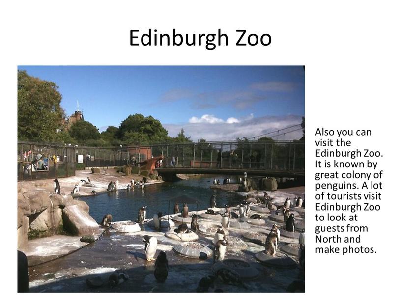 Edinburgh Zoo Also you can visit the