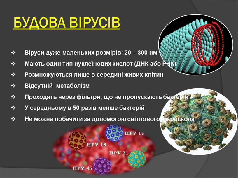 Віруси дуже маленьких розмірів: 20 – 300 нм