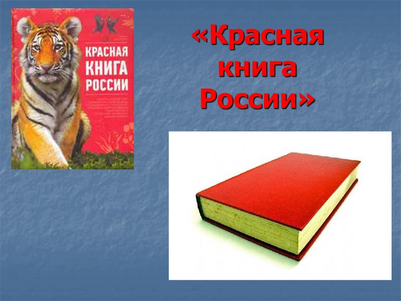 «Красная книга России»