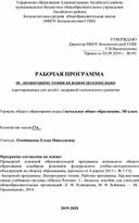 Адаптированная рабочая программа по литературному чтению на родном (русском) языке для детей с ОВЗ 3 класс