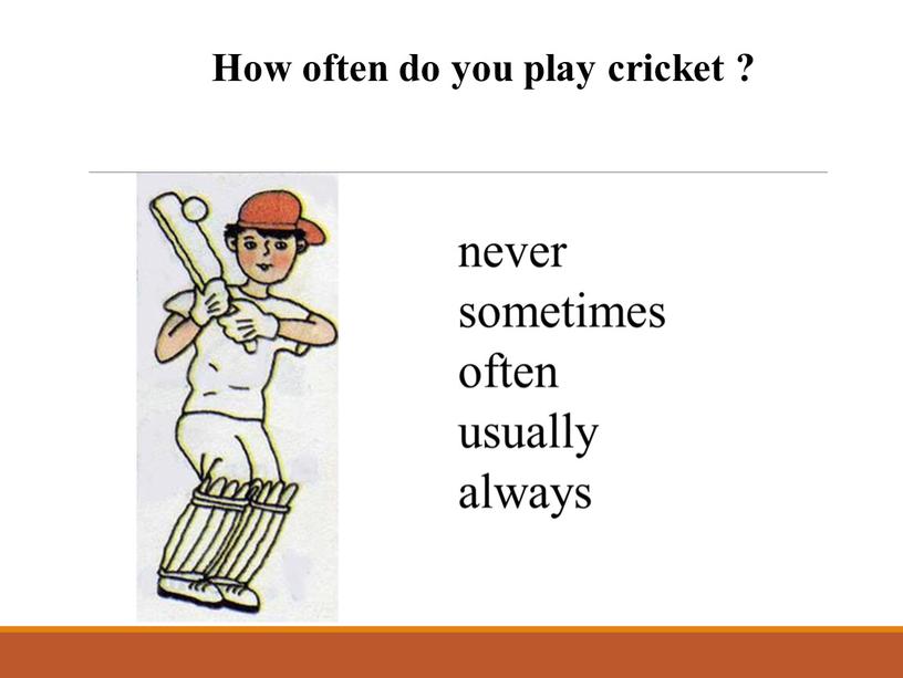How often do you play cricket ?