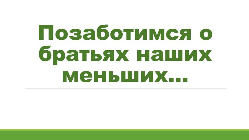 Позаботимся о братьях наших меньших…