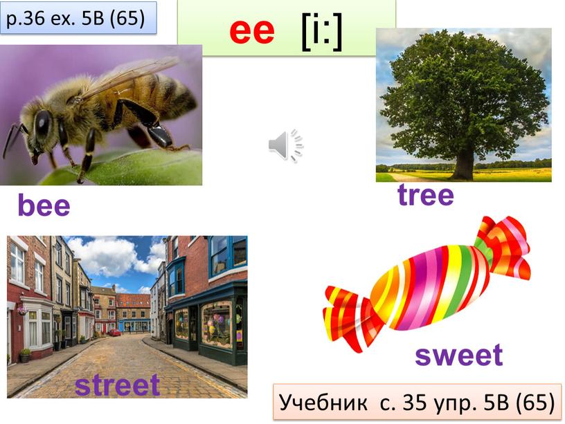 B (65) tree street sweet bee Учебник с