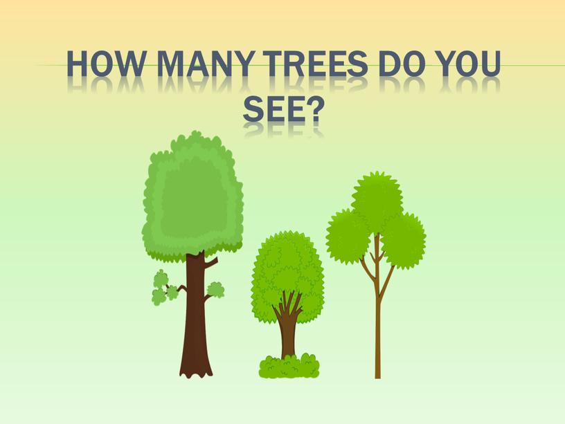 How many trees do you see?