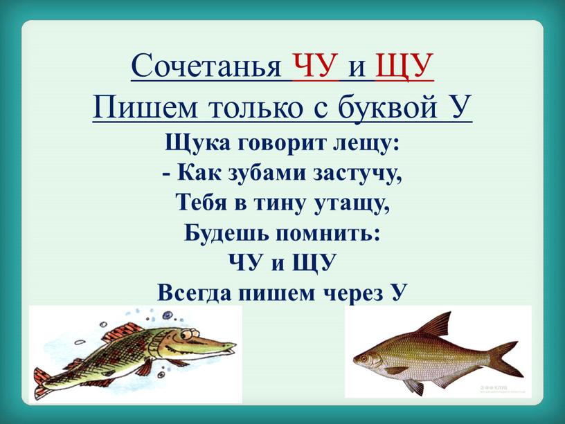 Сочетанья ЧУ и ЩУ Пишем только с буквой