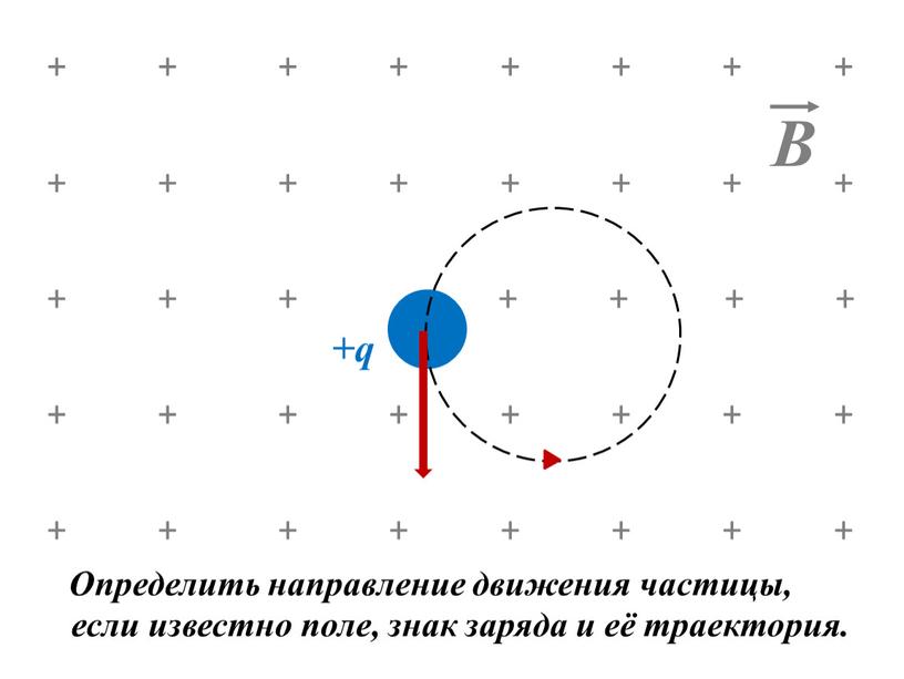 Определить направление движения частицы, если известно поле, знак заряда и её траектория