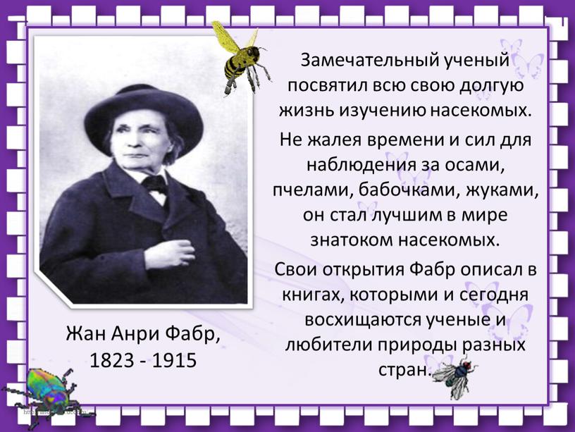 Жан Анри Фабр, 1823 - 1915 Замечательный ученый посвятил всю свою долгую жизнь изучению насекомых