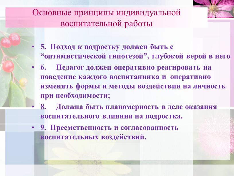 Основные принципы индивидуальной воспитательной работы 5