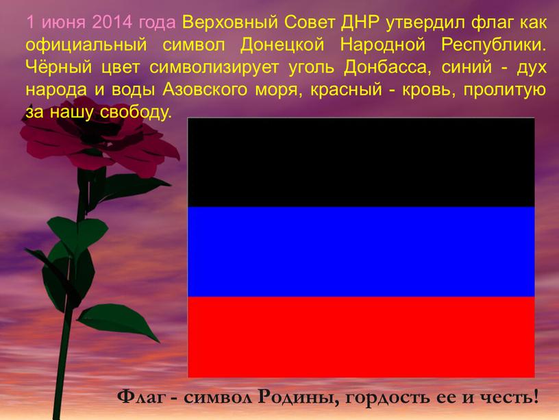 Верховный Совет ДНР утвердил флаг как официальный символ