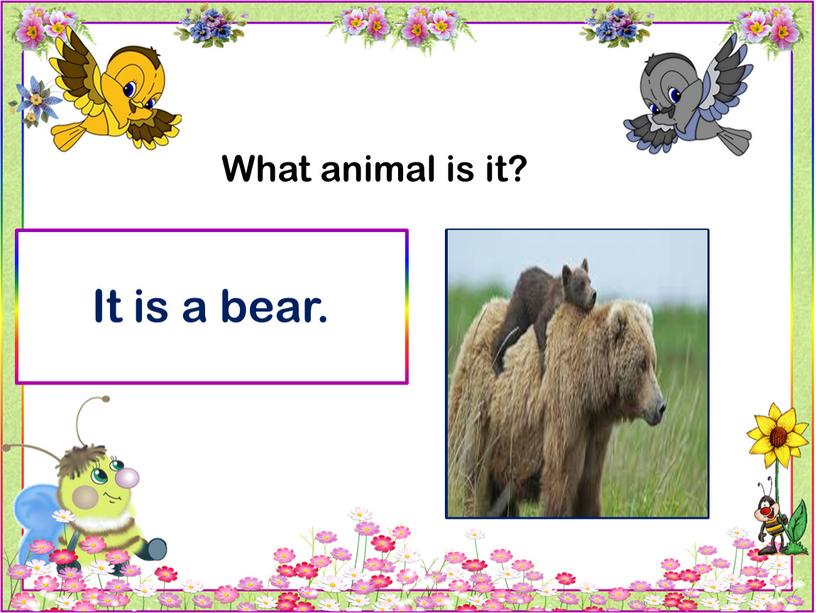 What animal is it? It is a bear