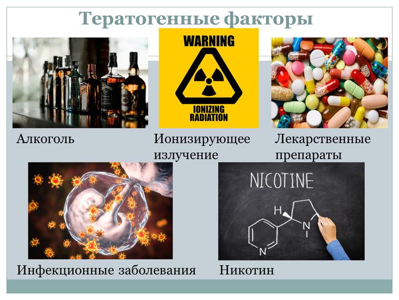 Тератогенные факторы Алкоголь