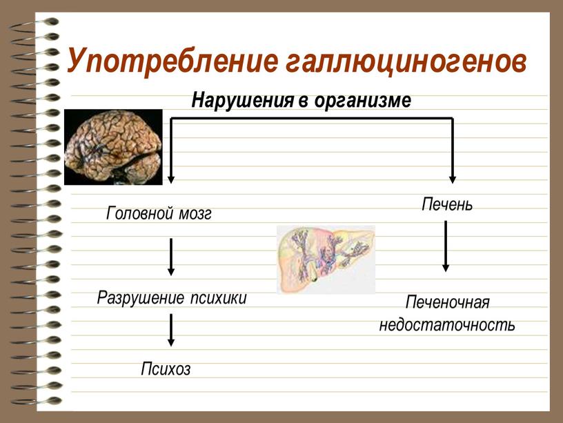 Употребление галлюциногенов Головной мозг