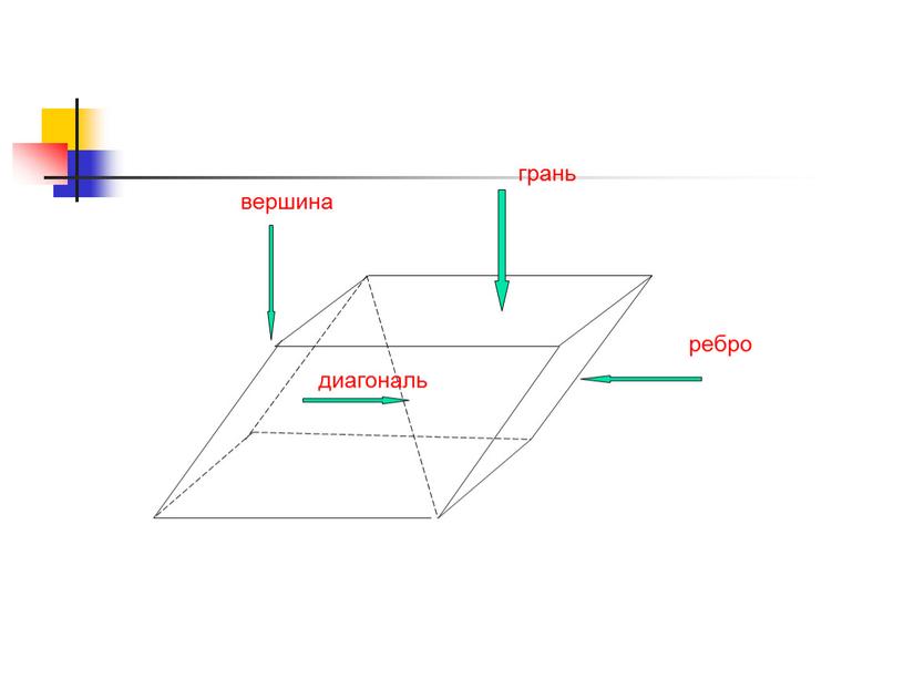 вершина ребро грань диагональ